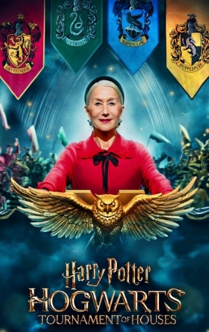 Harry Potter Hogwarts Tournament of Houses