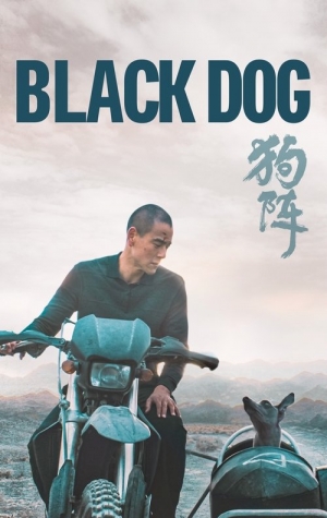 Black Dog 2023