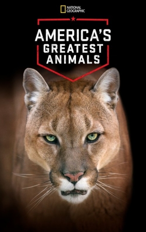 Americas Greatest Animals