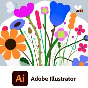 Adobe Illustrator 2024