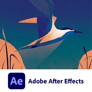 Adobe Animate 2021